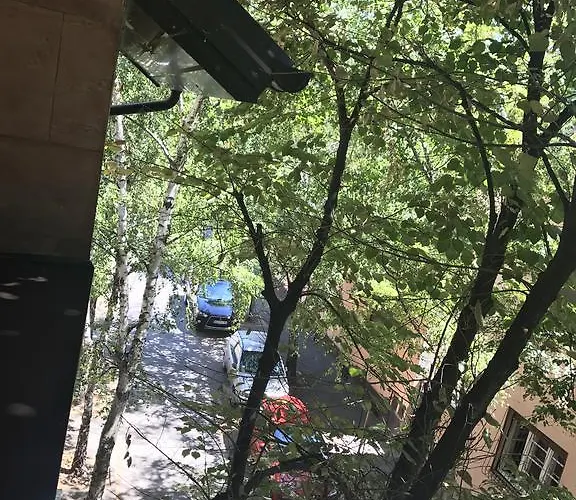 Afrodita נובי סאד