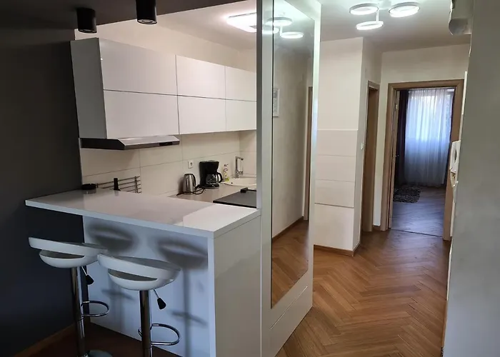 Afrodita נובי סאד